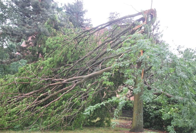Image d'illustration pour Tornade (?) à Gerardmer, vent violent et chutes de grêle dans le Nord-est samedi soir