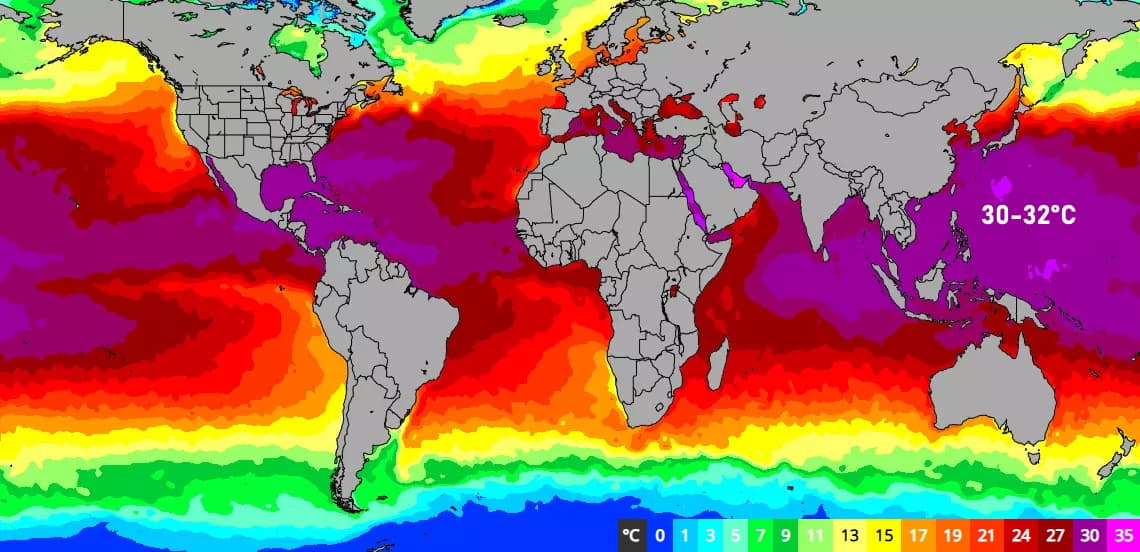 Image d'illustration pour Typhons dans le Pacifique nord-ouest : une zone surexposée