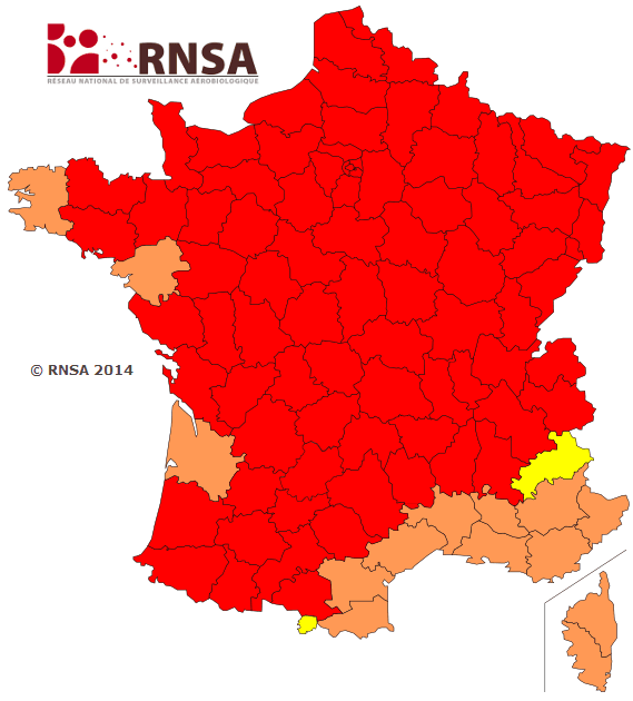 Image d'illustration pour Allergies : risque maximal pour les pollens de graminées
