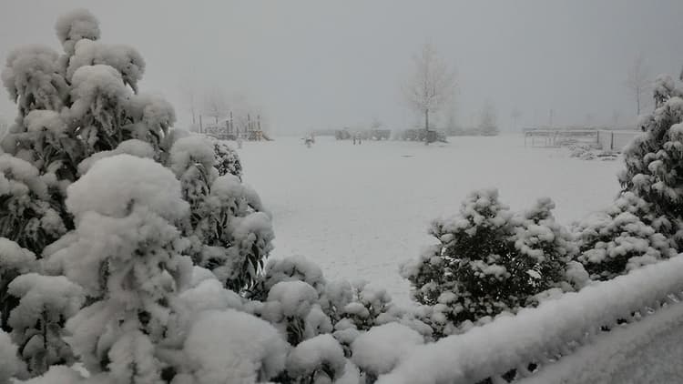 Image d'illustration pour Nouveaux phénomènes de "neige industrielle"