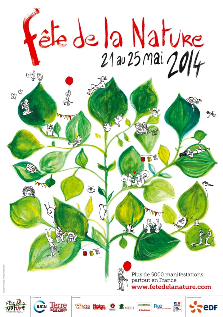 Image d'illustration pour Fête de la nature : floraison des coquelicots et changement climatique