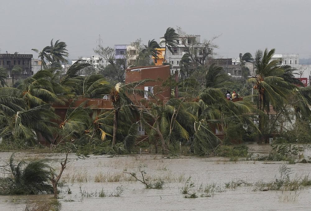 Image d'illustration pour Ex cyclone très intense Phailin (Inde)
