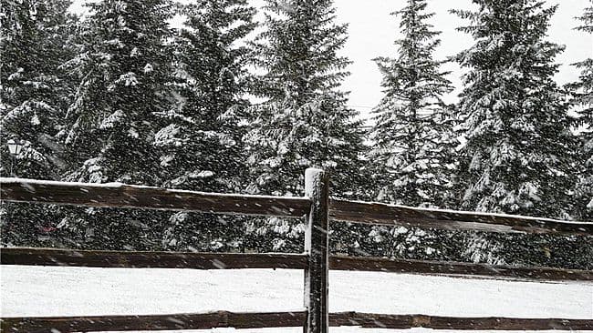 Image d'illustration pour Chutes de neige précoces au Nord des Etats Unis