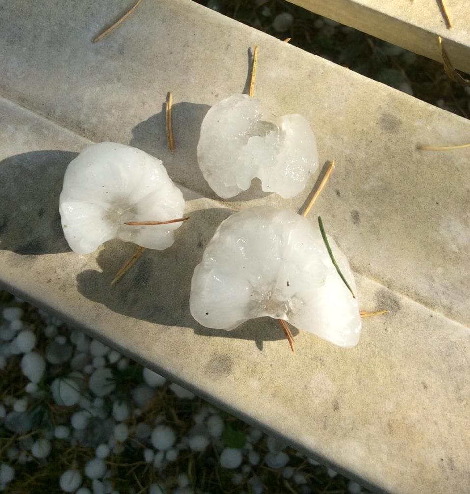Image d'illustration pour Orage de grêle en Bourgogne - Dégâts sur les vignes - Vignobles sinistrés