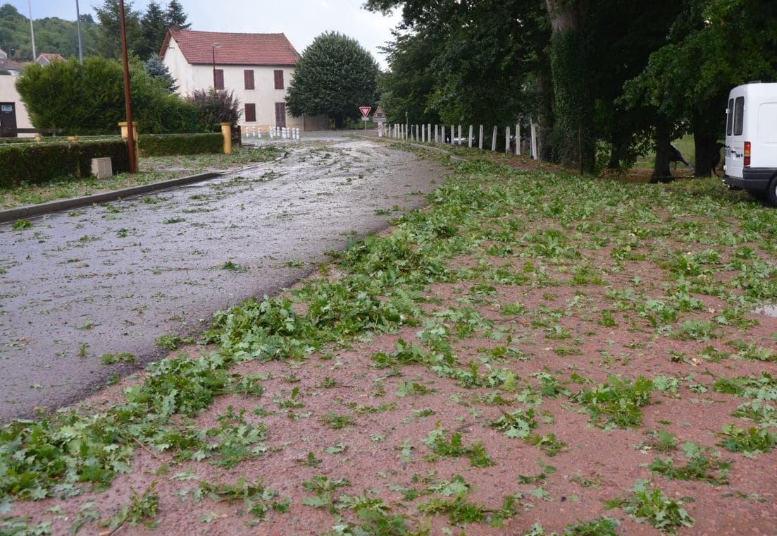 Image d'illustration pour Orage de grêle en Bourgogne - Dégâts sur les vignes - Vignobles sinistrés