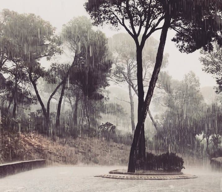 Image d'illustration pour Forte pluie et orage après une longue période sèche au Sud-Est