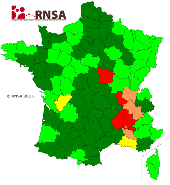 Image d'illustration pour Les pollens d'ambroisie provoquent encore des allergies