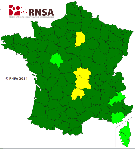 Image d'illustration pour Pollens : répit pour les allergiques avant l'arrivée de l'ambroisie