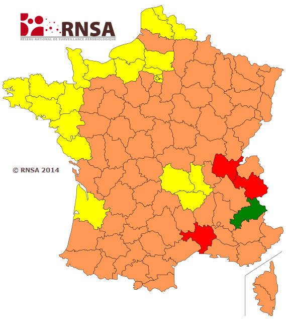 Image d'illustration pour Allergies : risque maximal pour les pollens de graminées