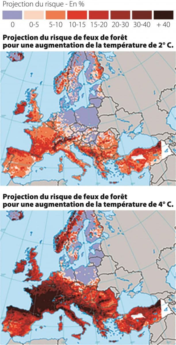 Image d'illustration pour Violents incendies en Californie - quelles conséquences pour le climat?