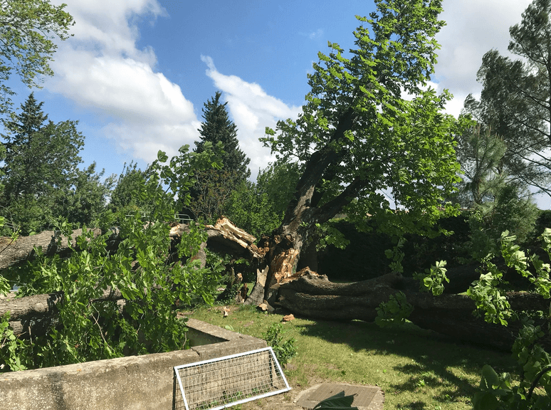 Image d'illustration pour Froid, neige et tempête : retour de l'hiver pour débuter mai !