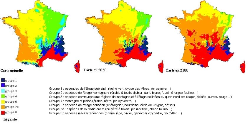 Image d'illustration pour Sécheresse et chaleur : Les forêts françaises dépérissent